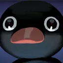 .kanino
