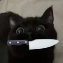 solar_da_cat