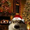 ylewa avatar