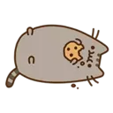 mr.pusheen.