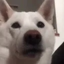 JAKE