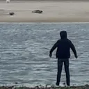 wbjj