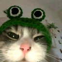 avatar meow ♡
