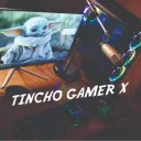 tinchogamerx8798