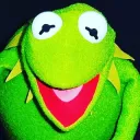 tinvela_frog