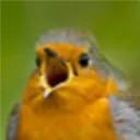 4mortea