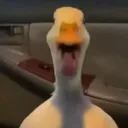 cxlmzy