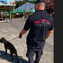 avatar Thymeús//Faruk58