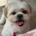 pwnnn