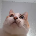 jhenerff