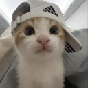 avatar & prostooneheart