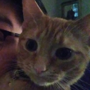 spraybleu#8064's avatar