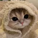 gloria_x
