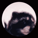 amgau's avatar