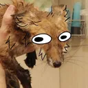 jerryfoxxo