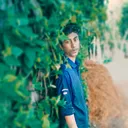 ashrafulhamid3504