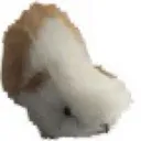 sondery