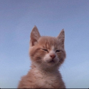 avatar-489526562509684736