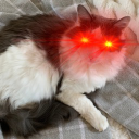 @p