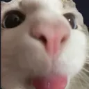 reireilei