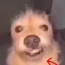lawsyfishy