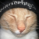 avatar YourAverageAmerican