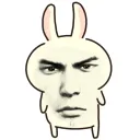 vban_n