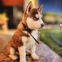 djrickychile11717 avatar