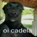 gusta0687