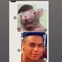 vitor07689