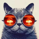 kurrycat