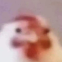 marcocheung0424#1539's avatar