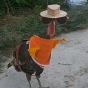 avatar 𝐘𝐞𝐧𝐧𝐱𝐟𝐞𝐫