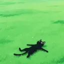 SaaR's Avatar