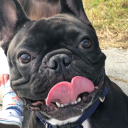 harachang#6825's avatar