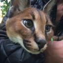 avatar fake ari 😢😢😢😭😭😭