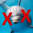 deaddolphinman