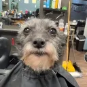 minijota