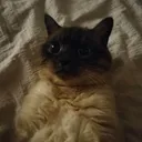 mistixm