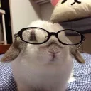 magical_bunny
