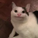 sergo_django