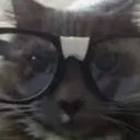 lowebooy69 avatar