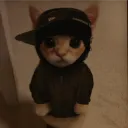 zushyv2