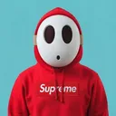 drgnslr