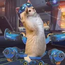 nemohtv