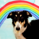 avatar BasedRetardgang