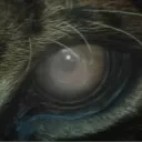 spektr_t3