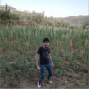 avatar d e a d m a u 5