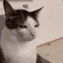 dokinv