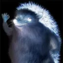 tondiru avatar